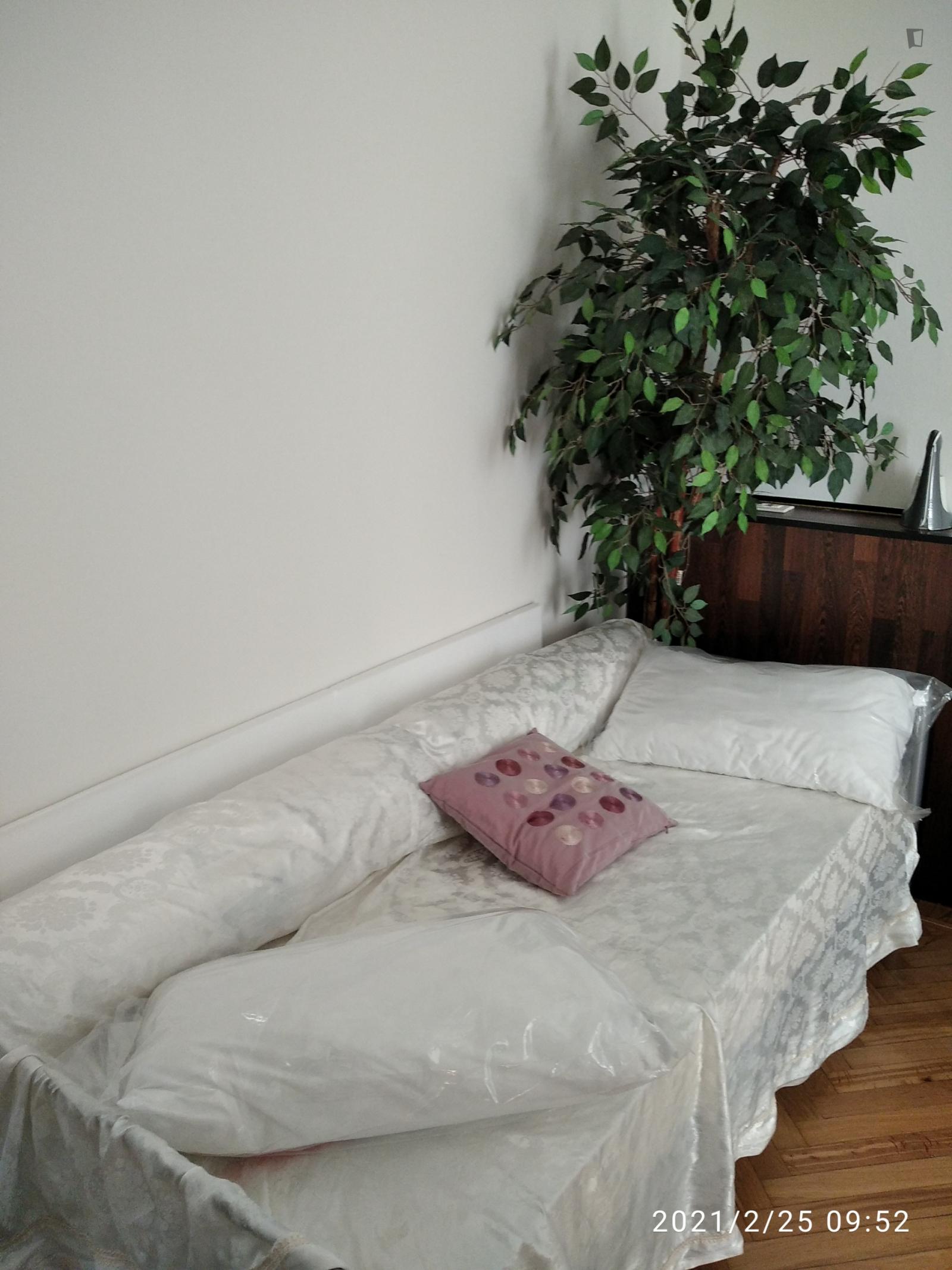 Single Bed In Shared Bedroom - 1