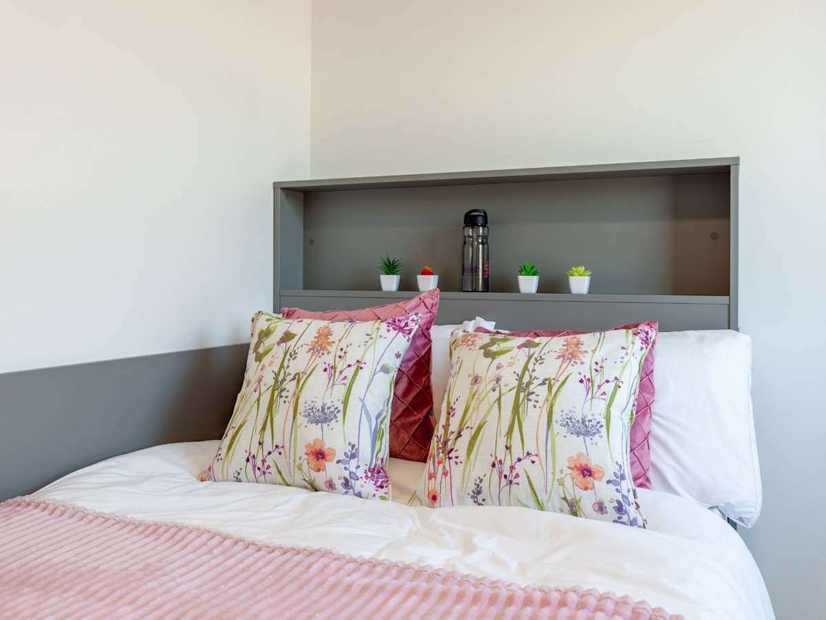  Premium En Suite  -  Oldway Centre  - Gallery -  1
