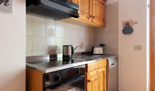 Splendid 1-bedroom apartment in Premadio - Gallery - 40