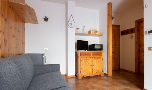Splendid 1-bedroom apartment in Premadio - Gallery - 25
