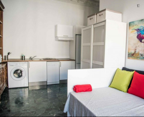 Very Nice Studio in City Center. Min train station ucv/metro xativa