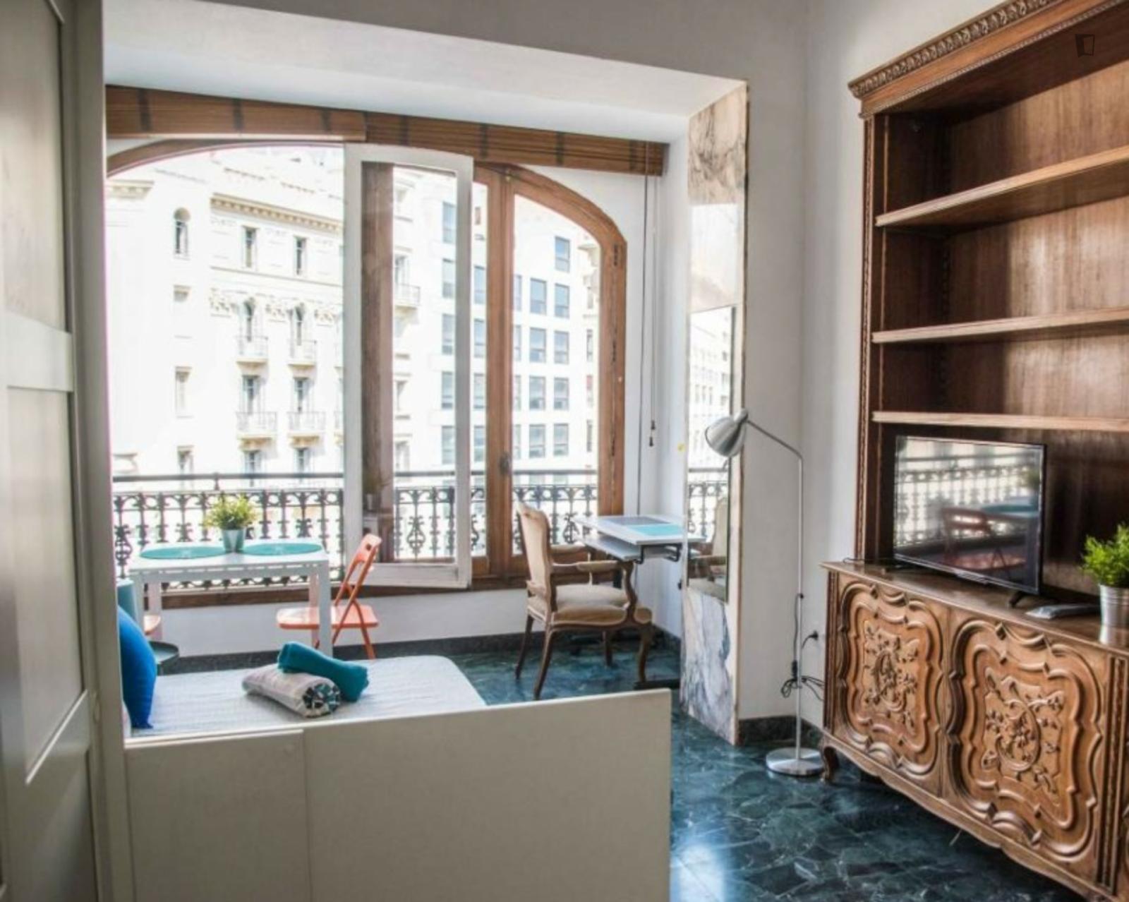  Very Nice Studio In City Center. Min Train Station Ucv/metro Xativa  -  Very Nice Studio in City Center. Min train station ucv/metro xativa  - Gallery -  1