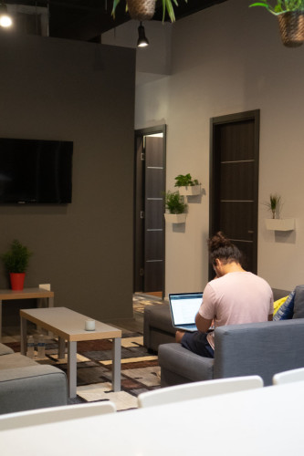 Spacious Styled Apt. w/ Workspace  - Gallery -  5