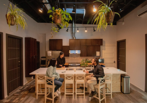 Palmer Residence - Gallery - 28