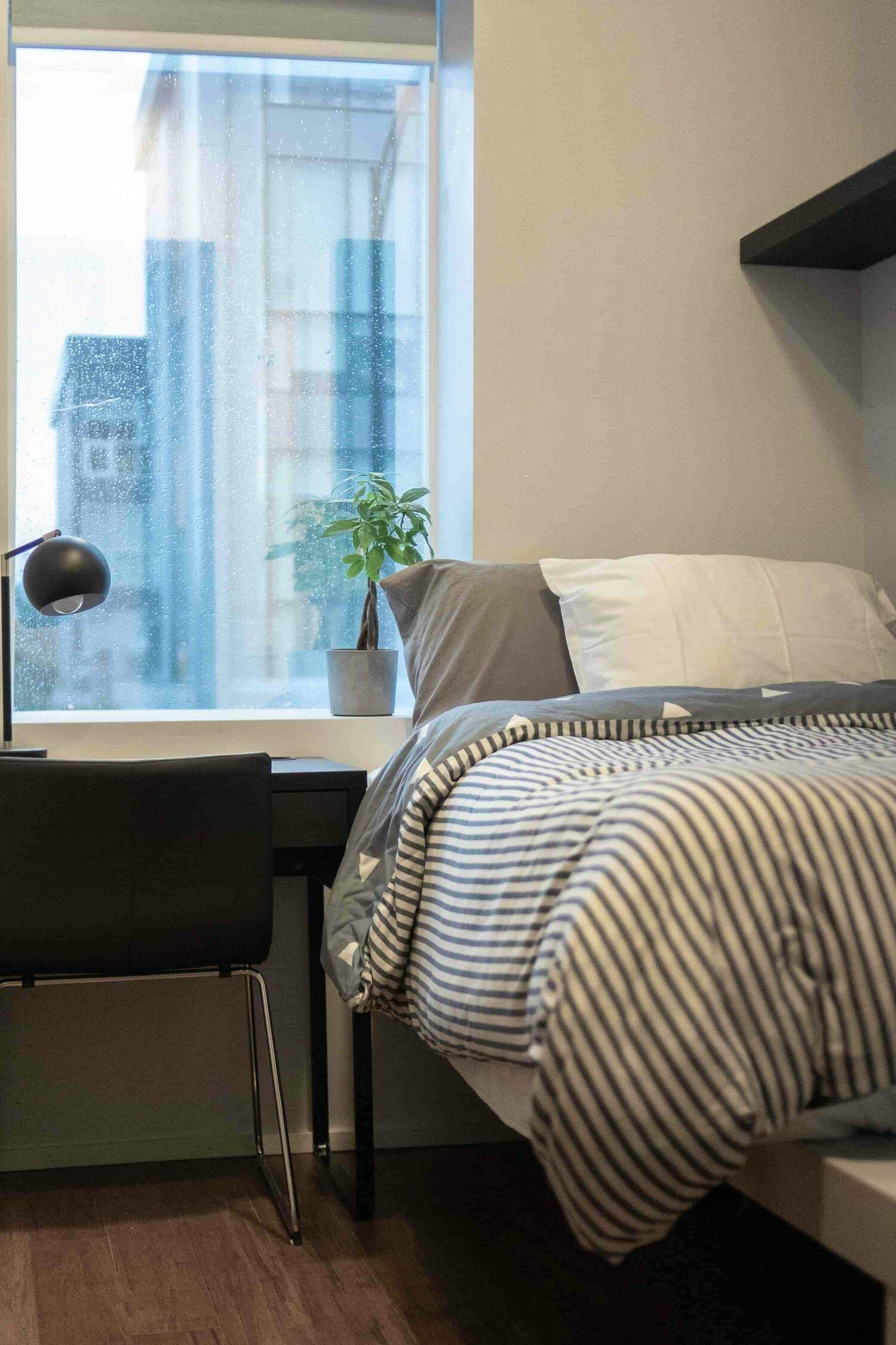 Private Room - Spacious Styled Apt. w/ Workspace - Gallery - 16