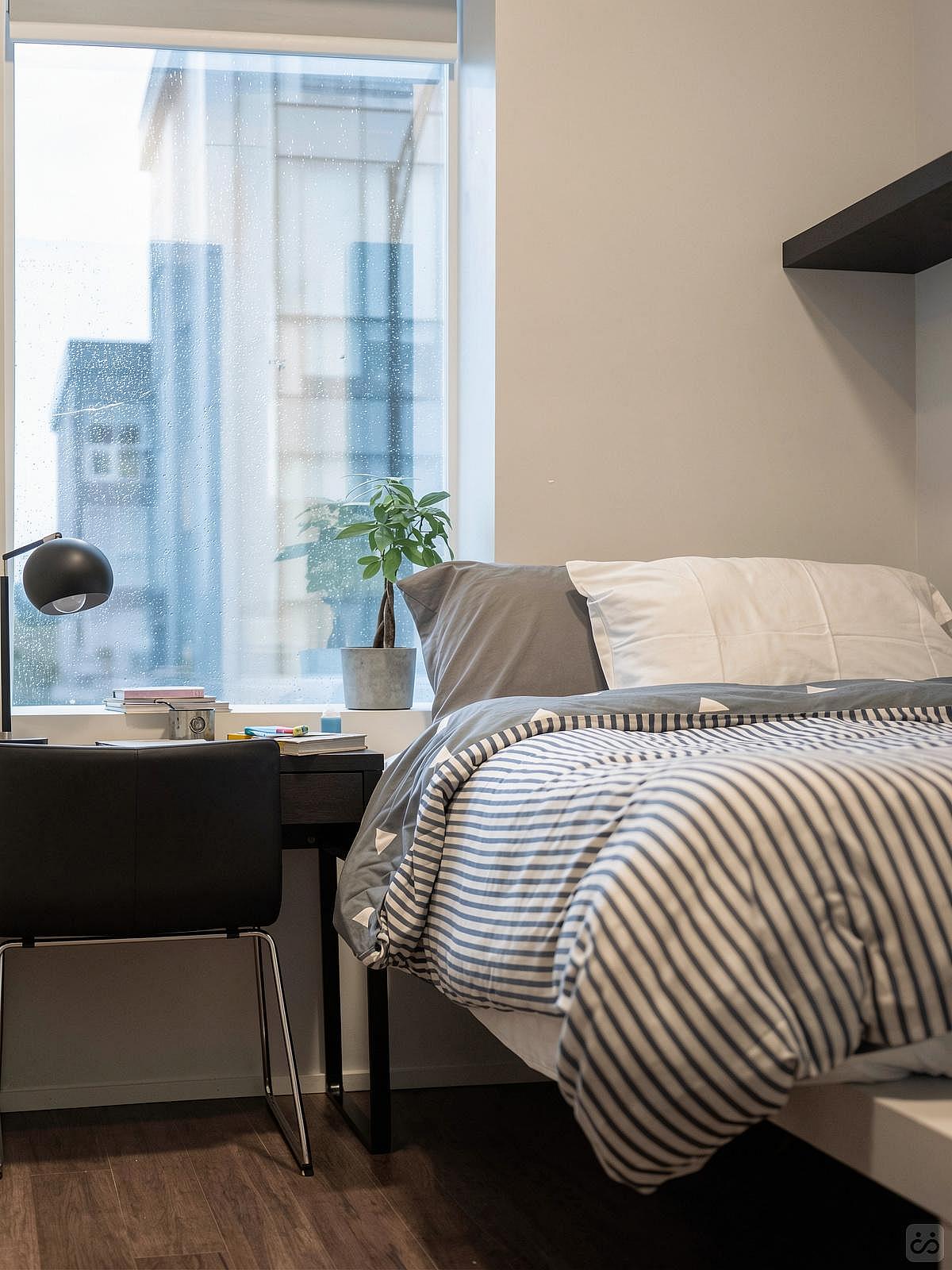  Private Room  -  Spacious Styled Apt. w/ Workspace  - Gallery -  3