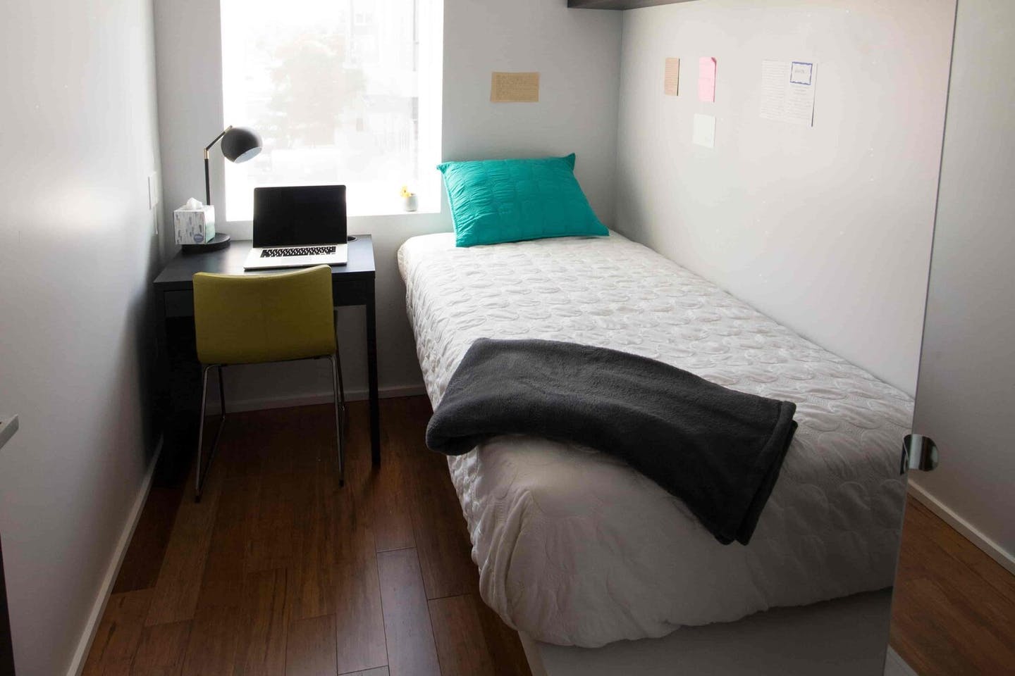  Private Room  -  Spacious Styled Apt. w/ Workspace  - Gallery -  12