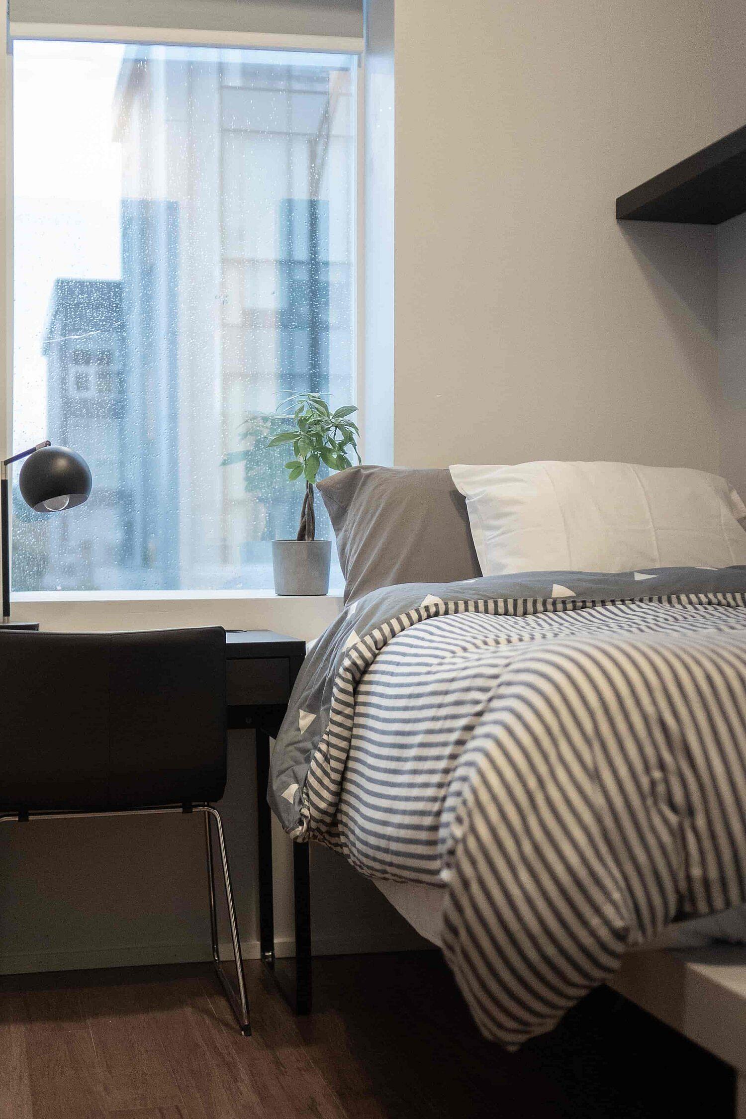  Private Room  -  Spacious Styled Apt. w/ Workspace  - Gallery -  6