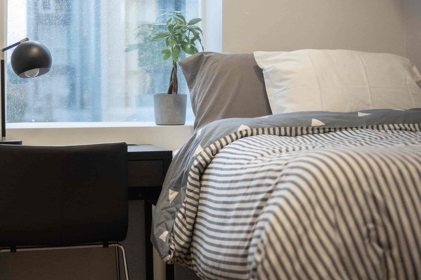 Private Room - Spacious Styled Apt. w/ Workspace - Gallery - 21