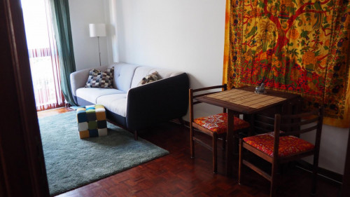 Fully equipped, central, spacious apartment 