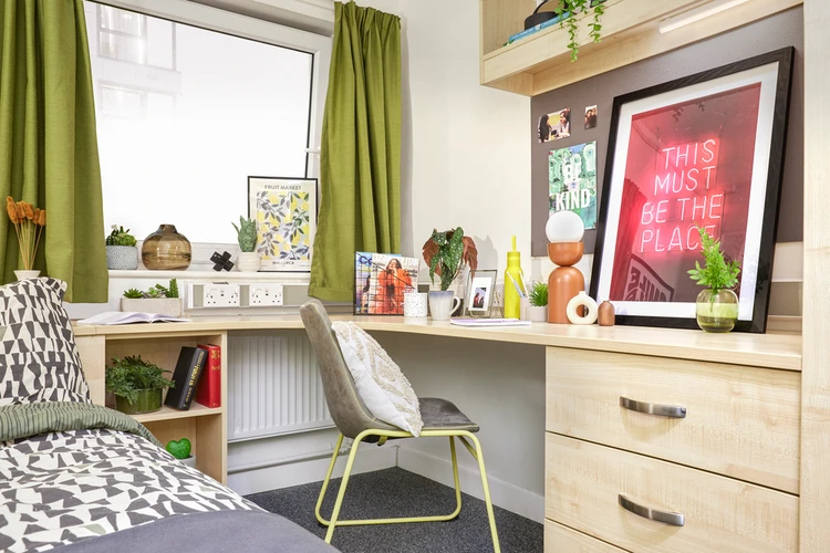  Large High Double En-Suite  -  Harriet Martineau Unite  - Gallery -  3