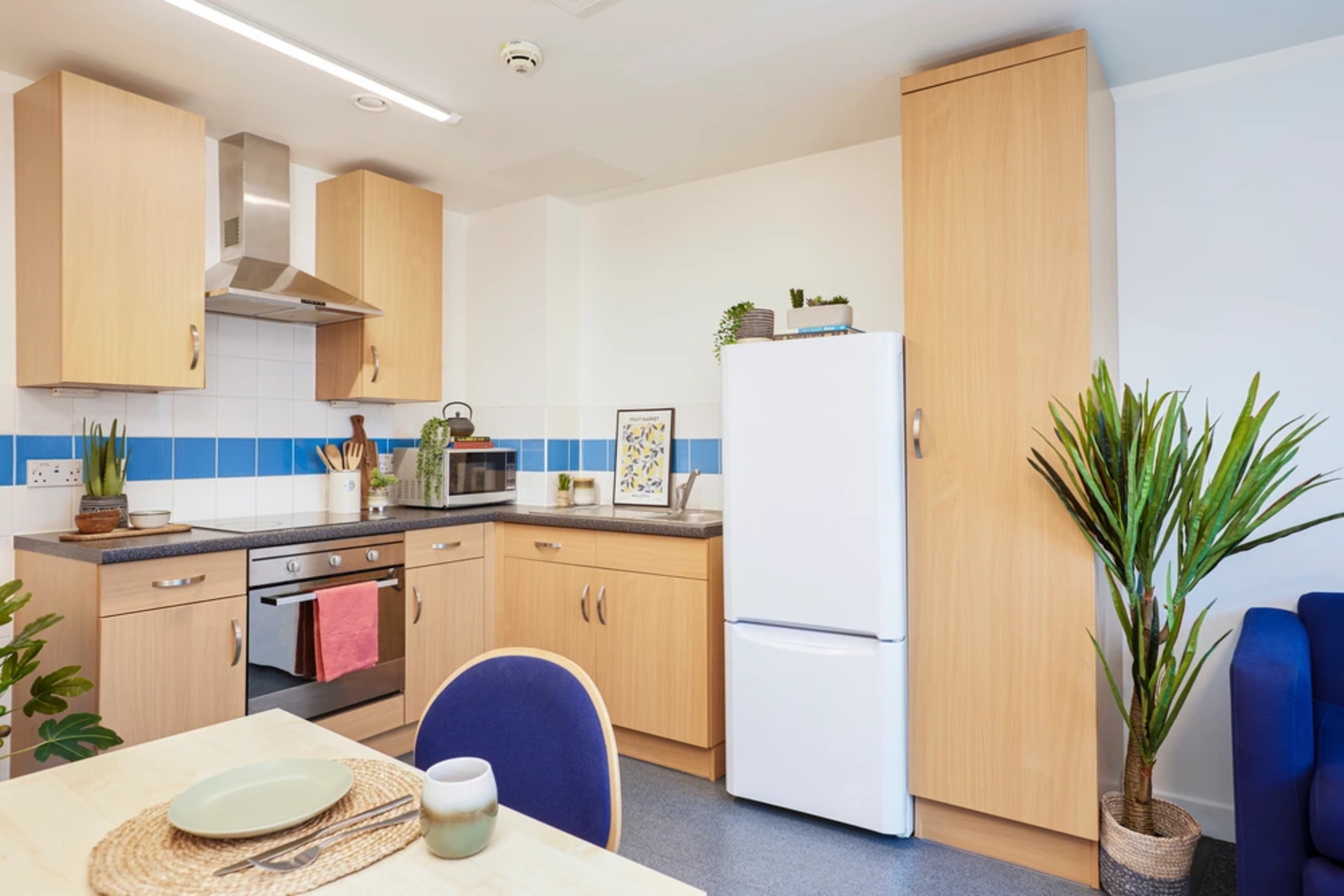  High Double One Bedroom Flat  -  Harriet Martineau Unite  - Gallery -  2