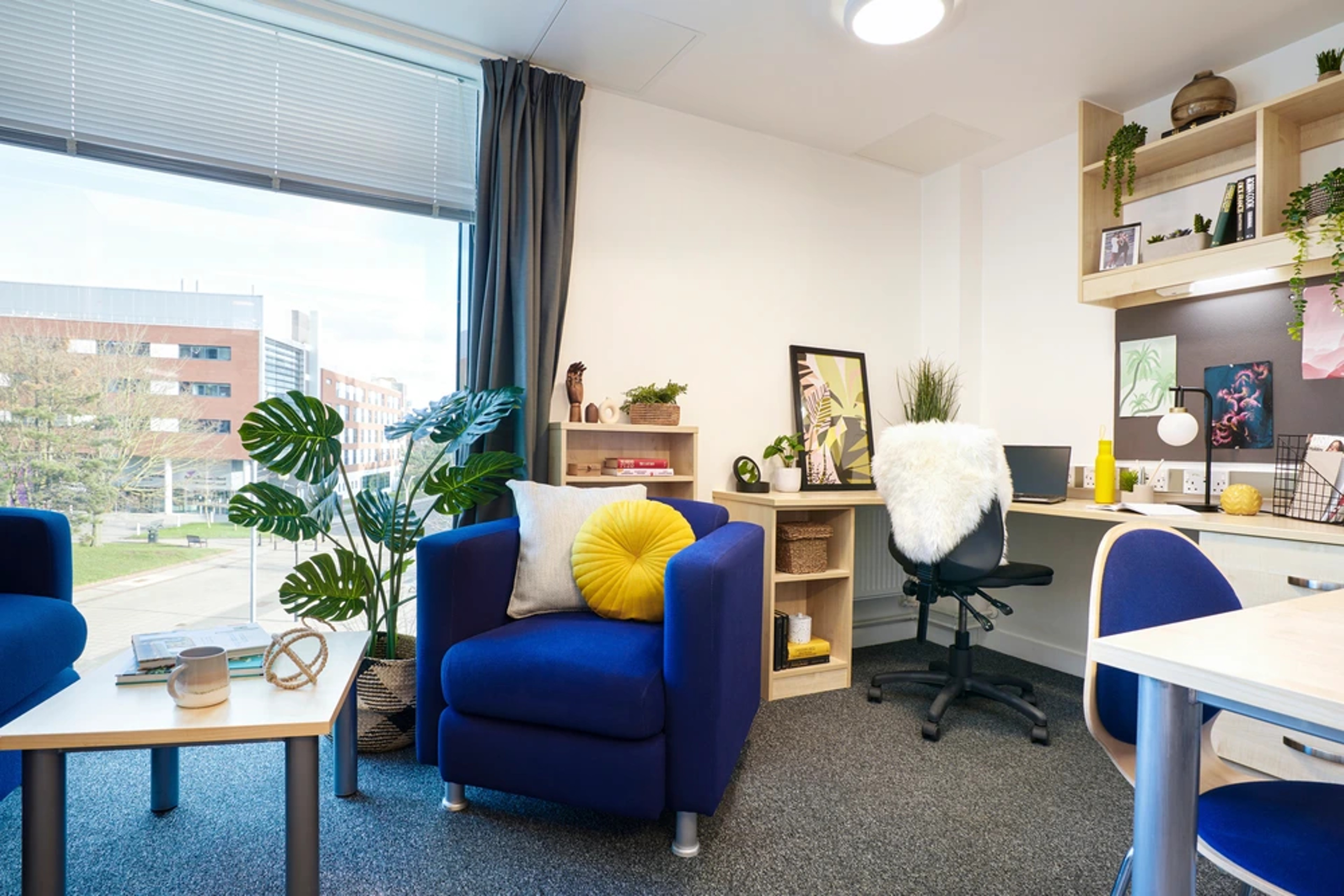  Standard Double One Bedroom Flat  -  Harriet Martineau Unite  - Gallery -  4