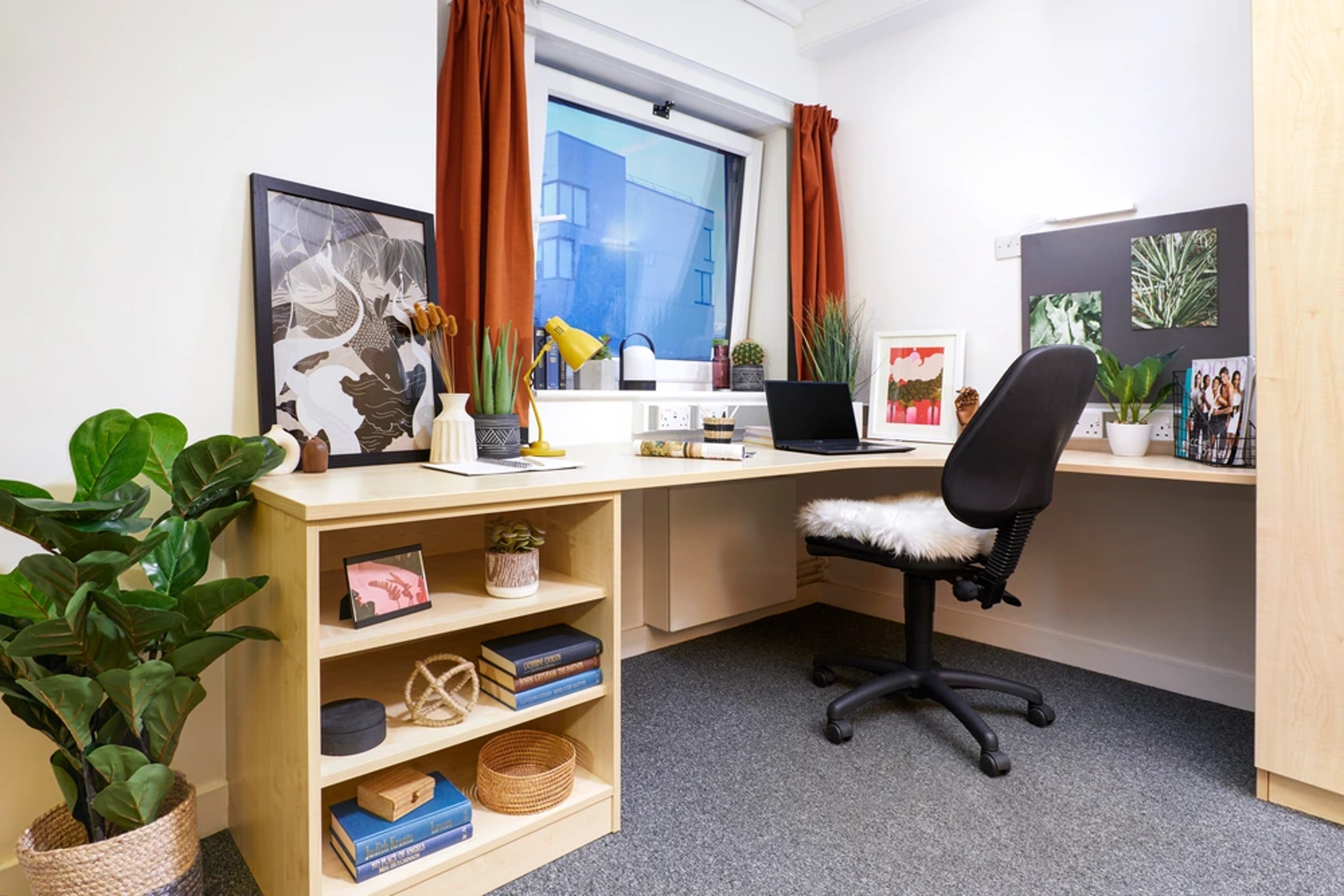  Single Wheelchair Accessible En-Suite  -  Harriet Martineau Unite  - Gallery -  2