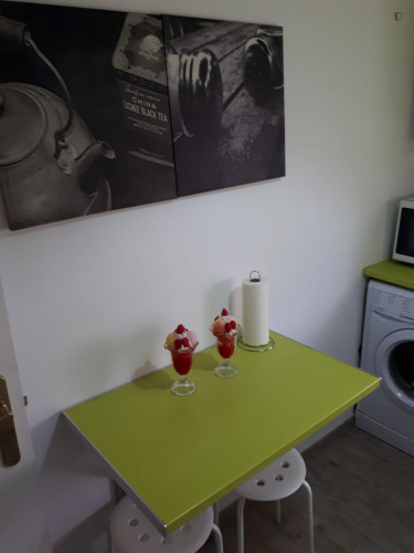 Marvellous 3-bedroom apartment near Universidad de Cantabria