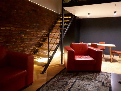 Comfortable 2-bedroom apartment in the centre of Lodz
