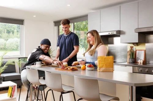 Houghall Court Unite  - Gallery -  5