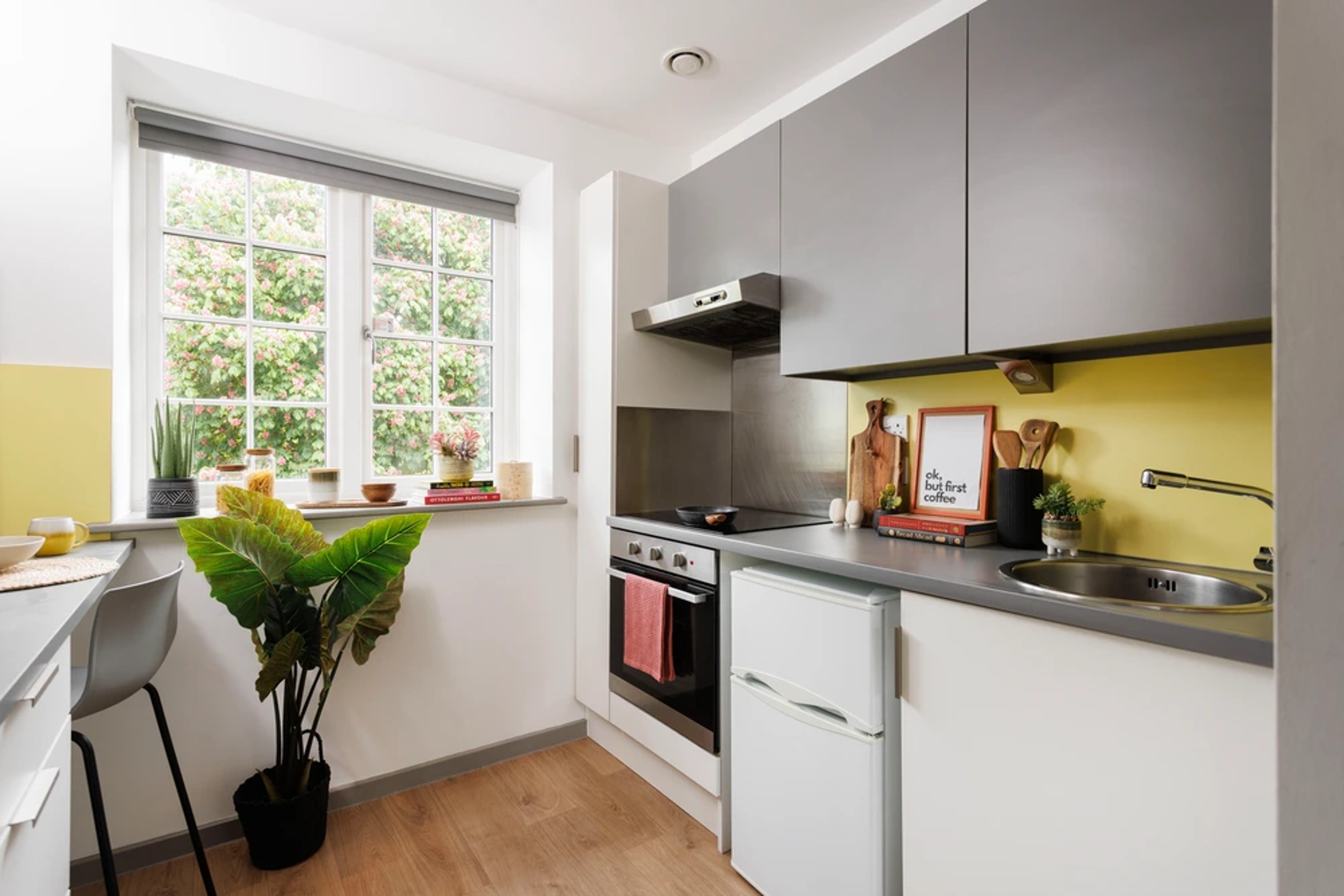  Medium High Double Studio  -  Houghall Court Unite  - Gallery -  3