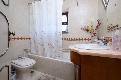 Snug single bedroom with balcony in São Sebastião, next to University of Coimbra
