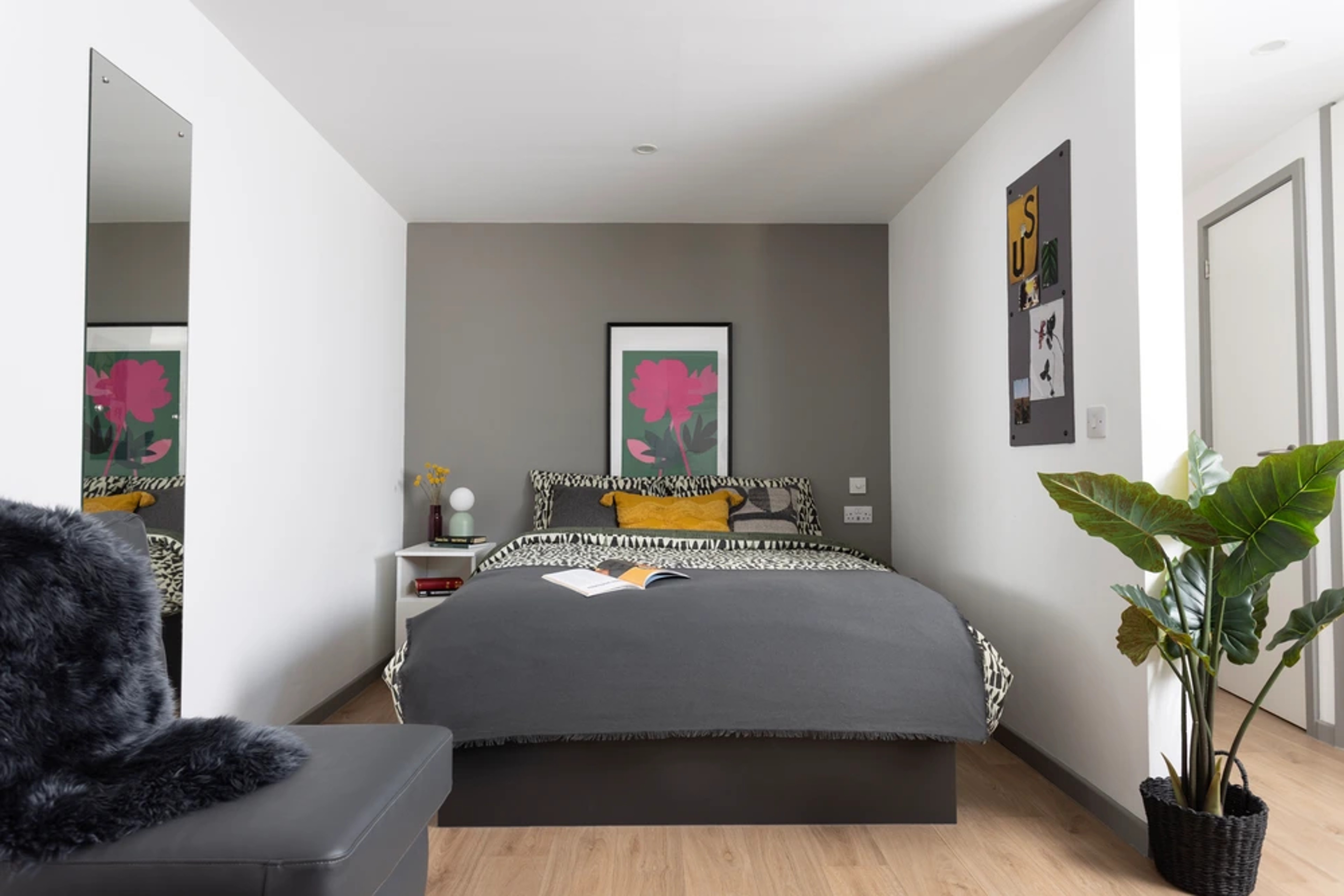  Extra Large High Double Studio  -  St Vincent's Place  - Gallery -  1