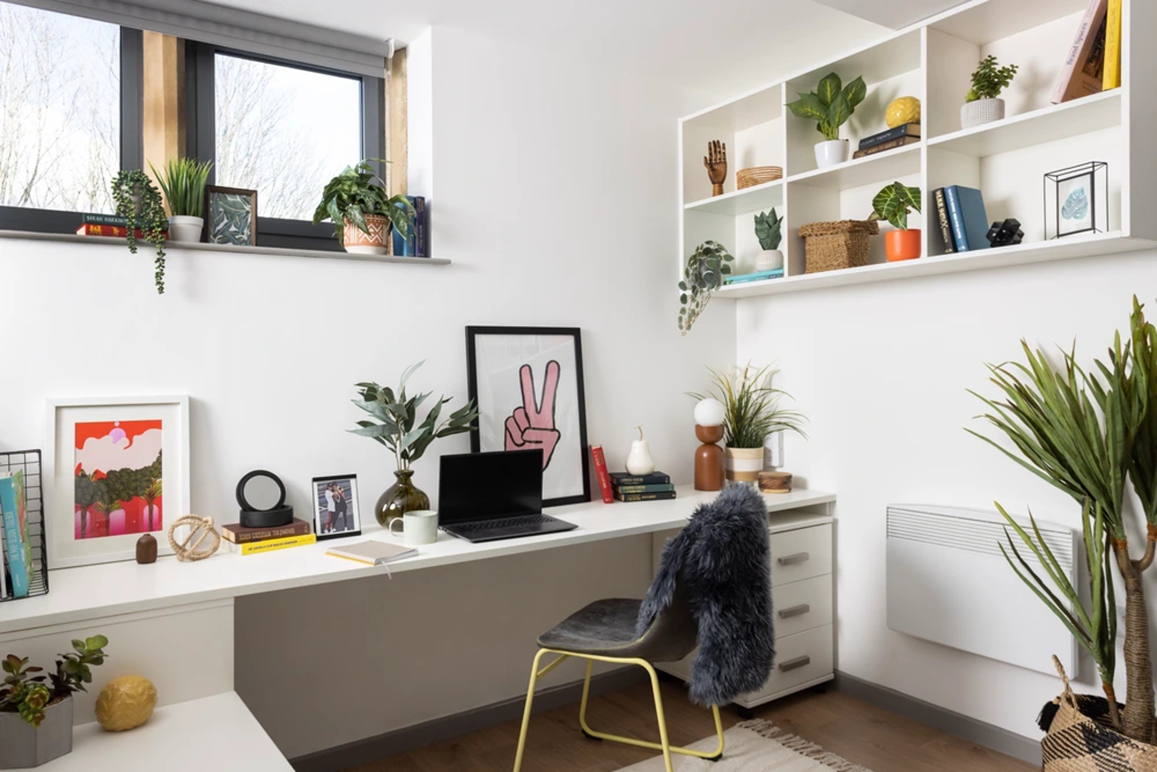 Extra Large High Double Studio - St Vincent's Place - Gallery - 3