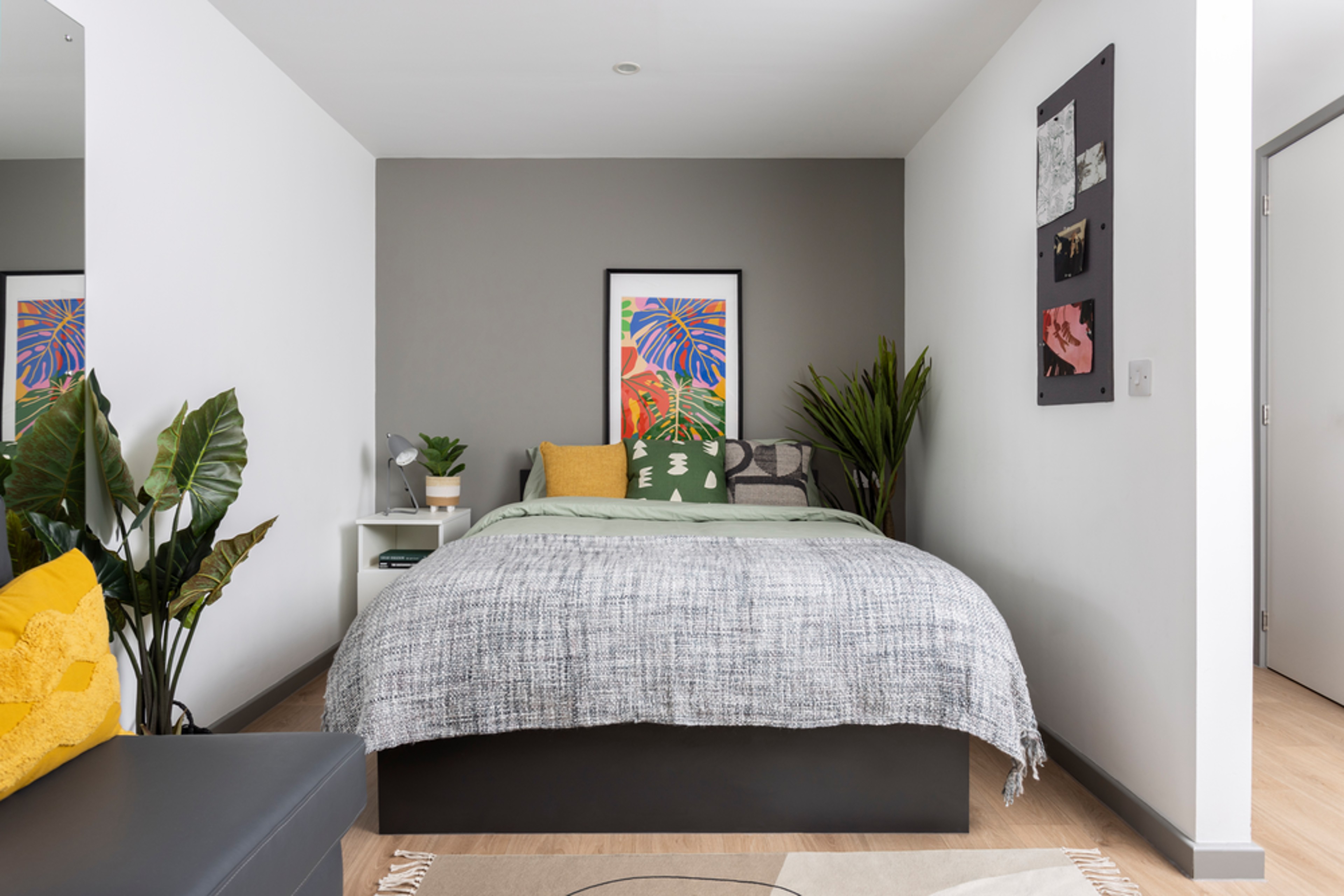  Extra Large Standard Double Studio  -  St Vincent's Place  - Gallery -  1