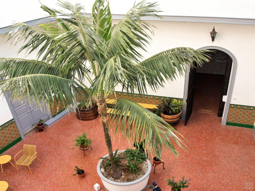 Escritor Benito Pérez Galdós Home - Gallery - 155