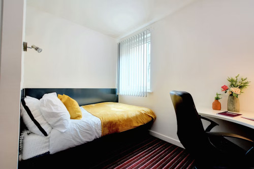 Newarke Street  - Gallery -  4