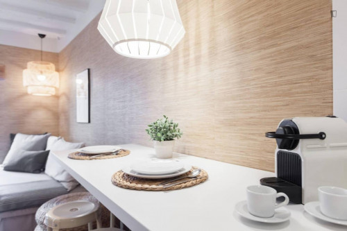 Quiet, warm, 2 bedrooms apartment perfectly located at the city center