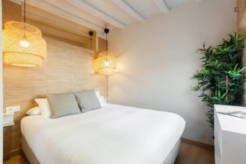 Quiet, warm, 2 bedrooms apartment perfectly located at the city center