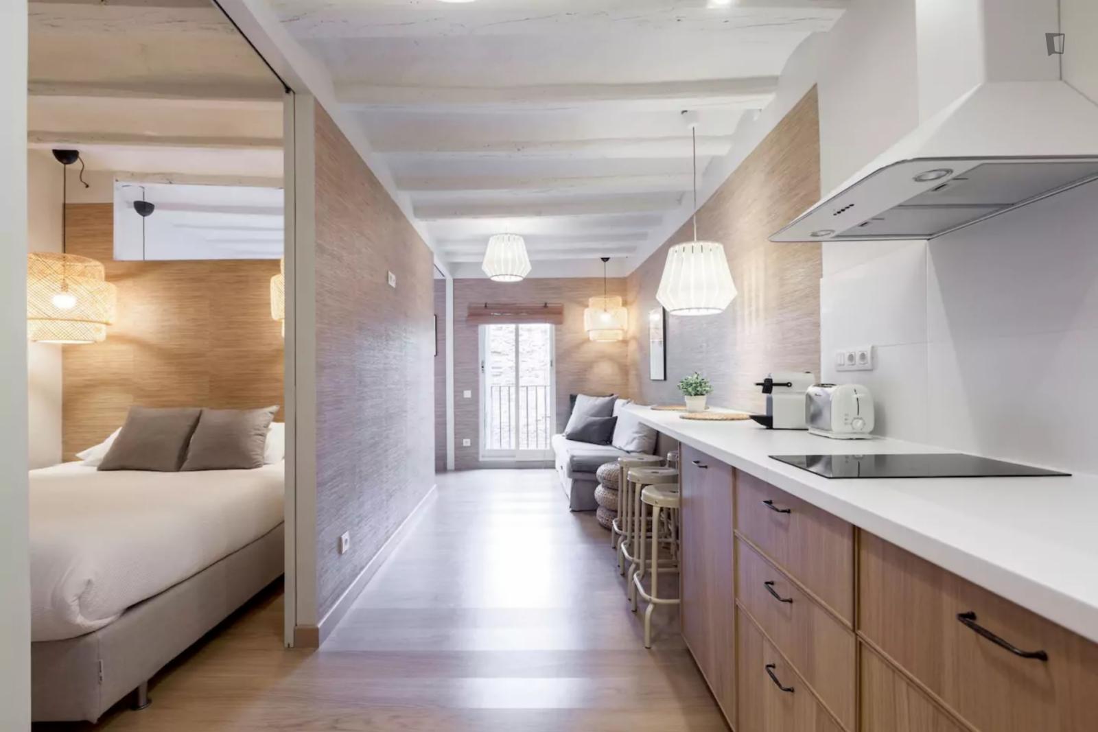  Quiet, Warm, 2 Bedrooms Apartment Perfectly Located At The City Center  -  Quiet, warm, 2 bedrooms apartment perfectly located at the city center  - Gallery -  1