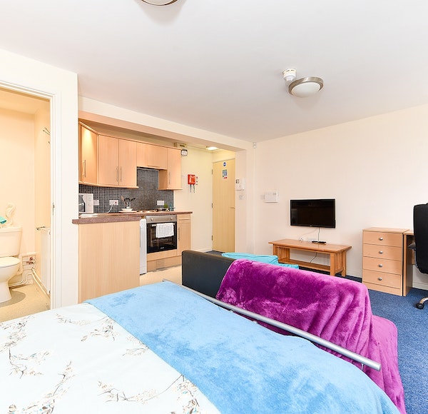  Studio Gold  -  Queens Court  - Gallery -  3