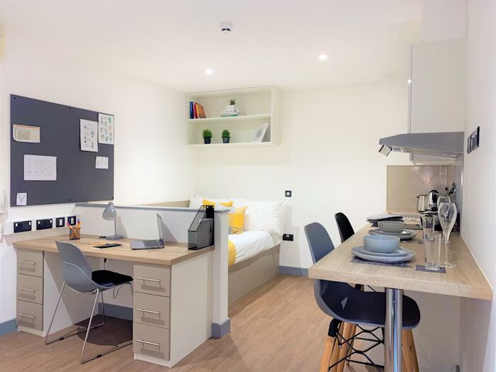  Studio Silver - Accessible  -  جريت باتريك ستريت  - Gallery -  2
