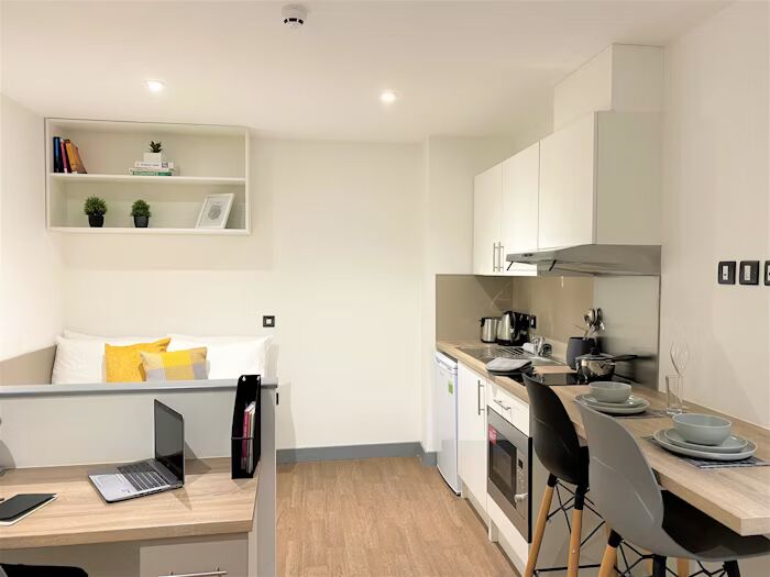  Studio Silver - Accessible  -  جريت باتريك ستريت  - Gallery -  1