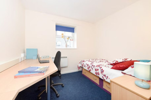 Snowdon Hall Roost  - Gallery -  5
