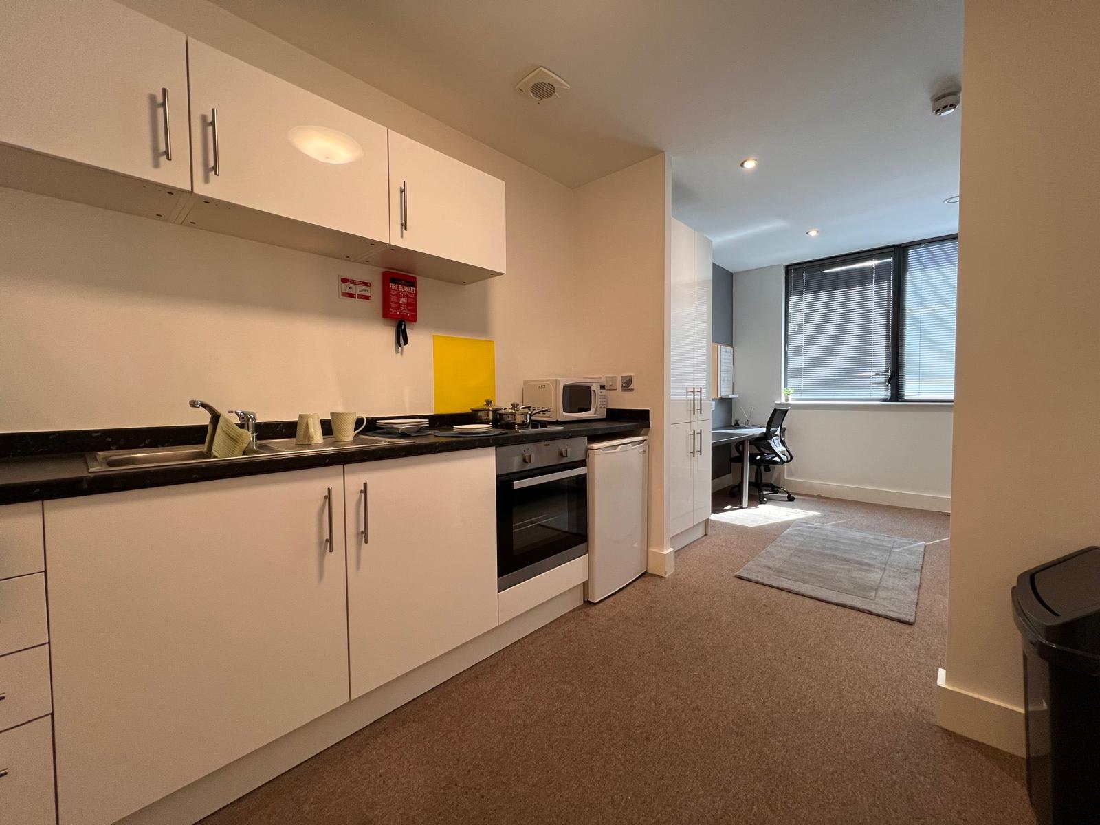  Studio Silver  -  Hydrogen Roost  - Gallery -  4