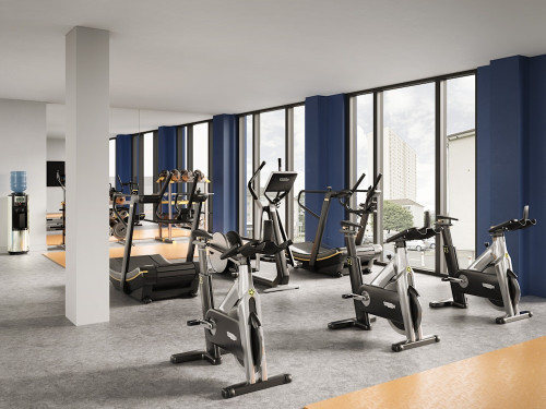 اس تي مونجوز