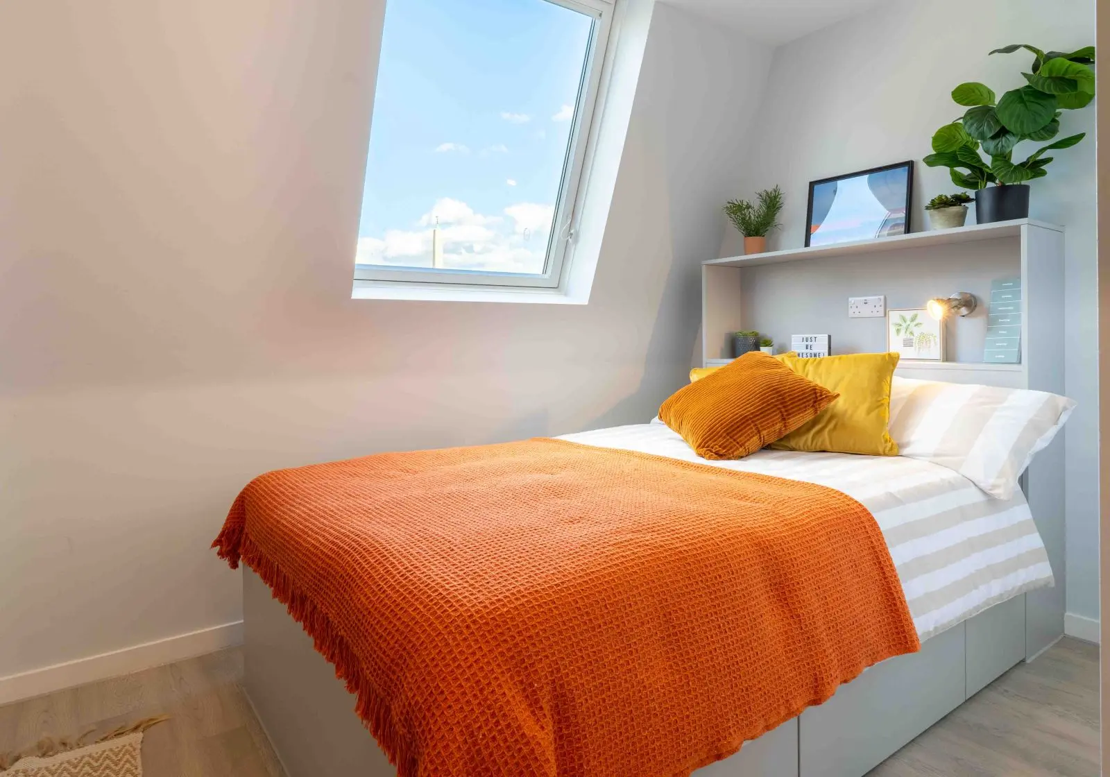  Gold En-Suite Plus  -  iQ City  - Gallery -  1