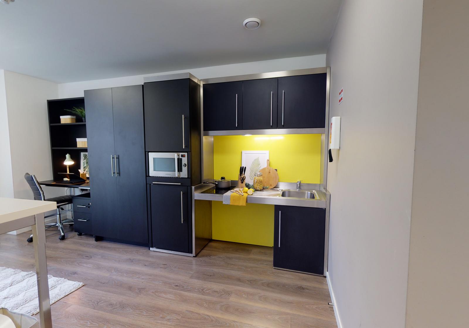  Platinum Studio Plus  -  iQ City  - Gallery -  3