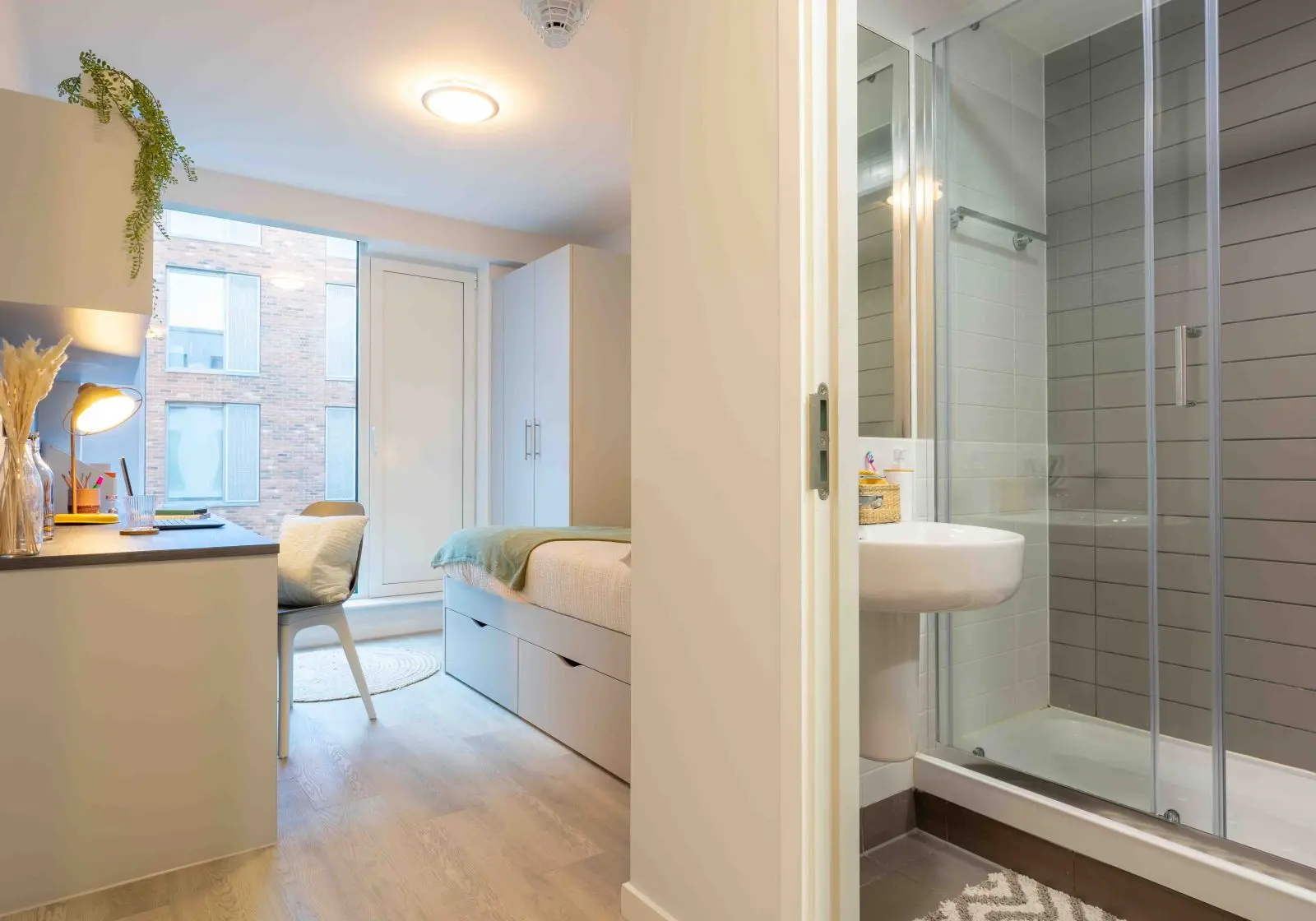  Bronze En-Suite Plus-2627  -  iQ City  - Gallery -  2