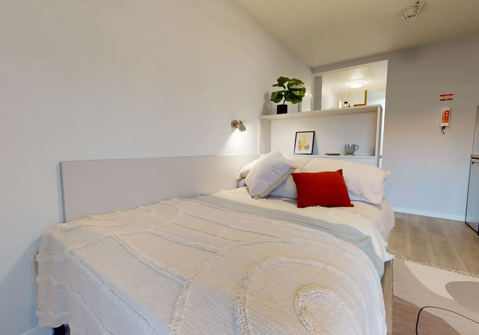  Bronze Studio Plus-2627  -  iQ City  - Gallery -  1