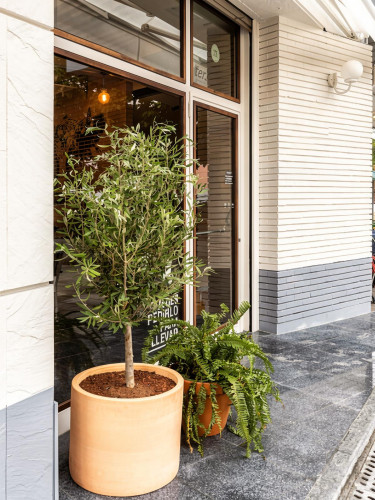 Canteiros Residence - Gallery - 25