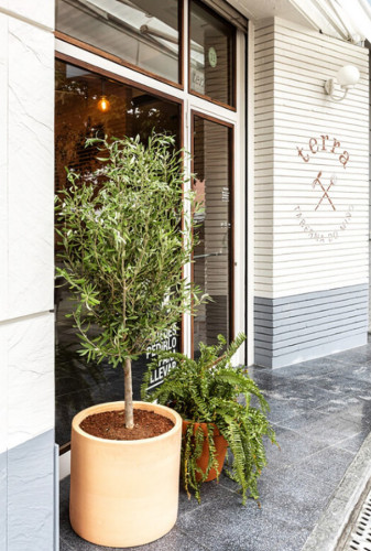 Creative and Fully Equipped Coliving Studios in Ceao Lugo's Ideal Location