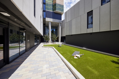 Scape Redfern