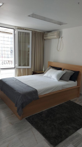 Appealing studio in the heart of Seville