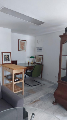 Appealing studio in the heart of Seville