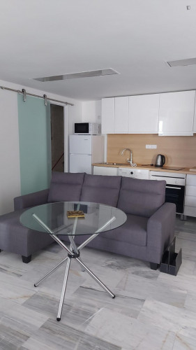 Appealing studio in the heart of Seville