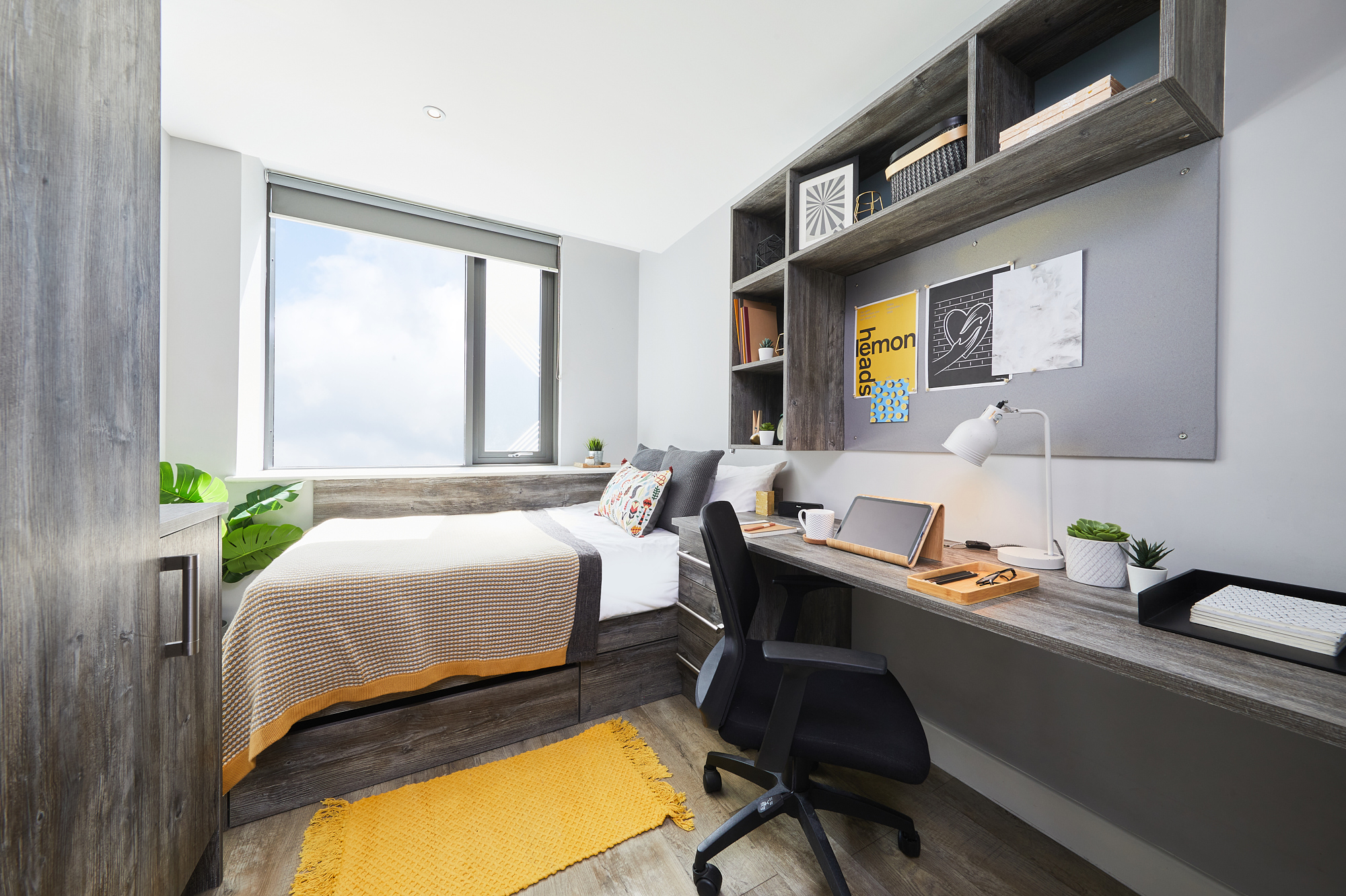  Standard Studio  -  Collegiate Crown Place Cardiff  - Gallery -  1