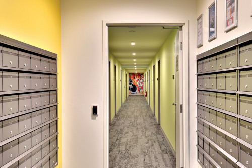 Scape Glebe - Gallery - 11