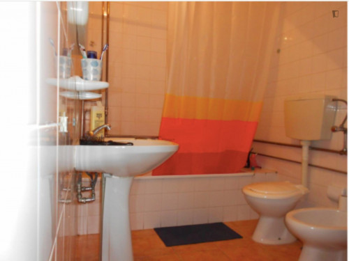 Cozy single bedroom next to Universidade da Beira Interior  - Gallery -  5